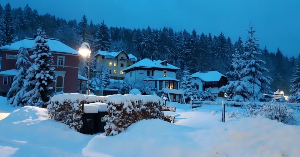 Apartamento Haus Stefanie Elvire Altenberg  Exterior foto